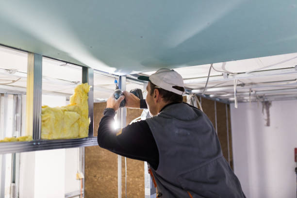 Best Residential Insulation in Bourbon, MO